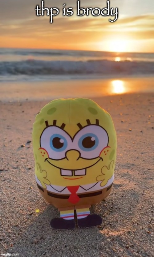 ofc not lmao | thp is brody | image tagged in the bob ty tmbr | made w/ Imgflip meme maker