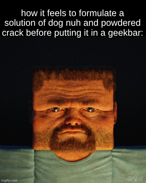 how it feels to formulate a solution of dog nuh and powdered crack before putting it in a geekbar: | made w/ Imgflip meme maker