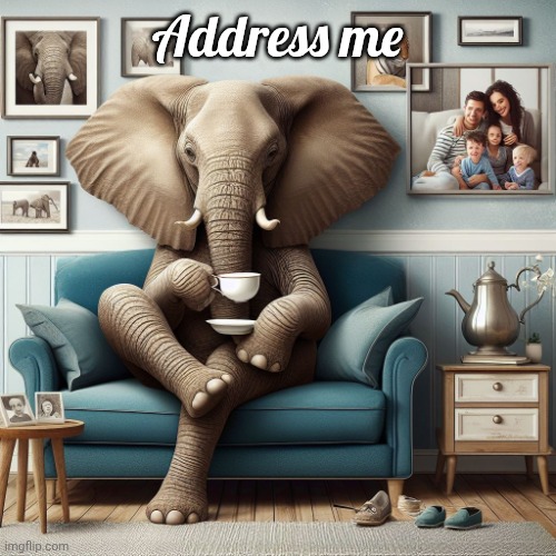 Elephant in Living Room | Address me | image tagged in elephant in living room | made w/ Imgflip meme maker