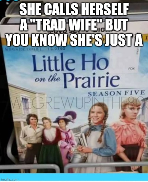 SHE CALLS HERSELF A "TRAD WIFE" BUT YOU KNOW SHE'S JUST A | image tagged in funny meme | made w/ Imgflip meme maker
