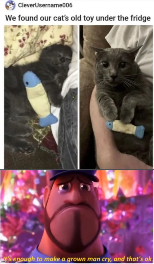 this actually did make me a bit weepy | made w/ Imgflip meme maker
