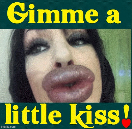 Grotesque /ɡrōˈtesk/ adj. comically or repulsively ugly or distorted. | image tagged in vince vance,big lips,plastic surgery,absurd,grotesque,kiss | made w/ Imgflip meme maker