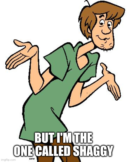 BUT I'M THE ONE CALLED SHAGGY | image tagged in shaggy from scooby doo | made w/ Imgflip meme maker