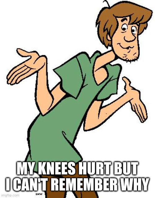 MY KNEES HURT BUT I CAN'T REMEMBER WHY | image tagged in shaggy from scooby doo | made w/ Imgflip meme maker