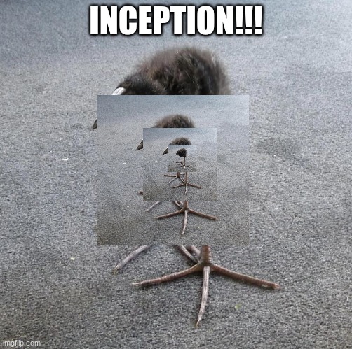 Pukeko chick | INCEPTION!!! | image tagged in pukeko chick | made w/ Imgflip meme maker