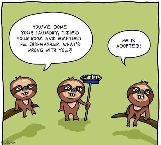 Adopted | image tagged in comics | made w/ Imgflip meme maker