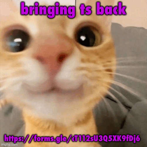 kitty | bringing ts back; https://forms.gle/cT112sU3Q5XK9fDj6 | image tagged in kitty | made w/ Imgflip meme maker
