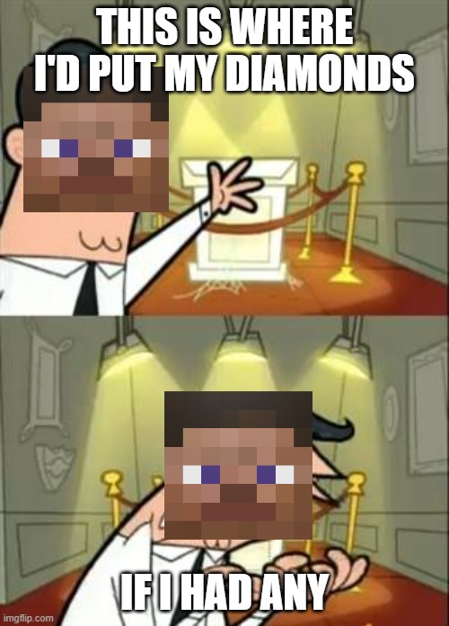 This Is Where I'd Put My Trophy If I Had One | THIS IS WHERE I'D PUT MY DIAMONDS; IF I HAD ANY | image tagged in memes,this is where i'd put my trophy if i had one | made w/ Imgflip meme maker