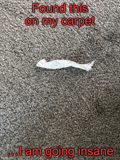 Saddam Hussain | Found this on my carpet; …I am going insane | made w/ Imgflip meme maker
