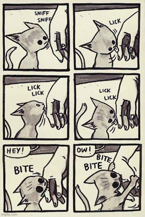 Things got out of hand pretty quickly… | image tagged in cats,comics,licking,biting,escalation,violent | made w/ Imgflip meme maker