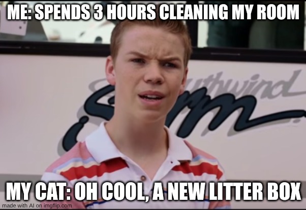 Random Memes | ME: SPENDS 3 HOURS CLEANING MY ROOM; MY CAT: OH COOL, A NEW LITTER BOX | image tagged in you guys are getting paid | made w/ Imgflip meme maker