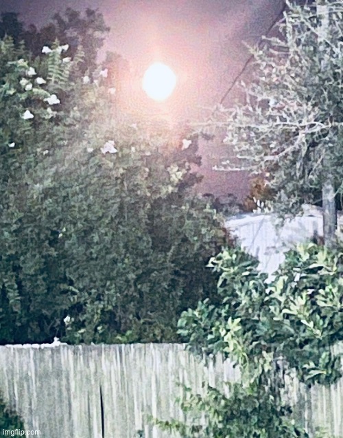 the moon that night btw | made w/ Imgflip meme maker