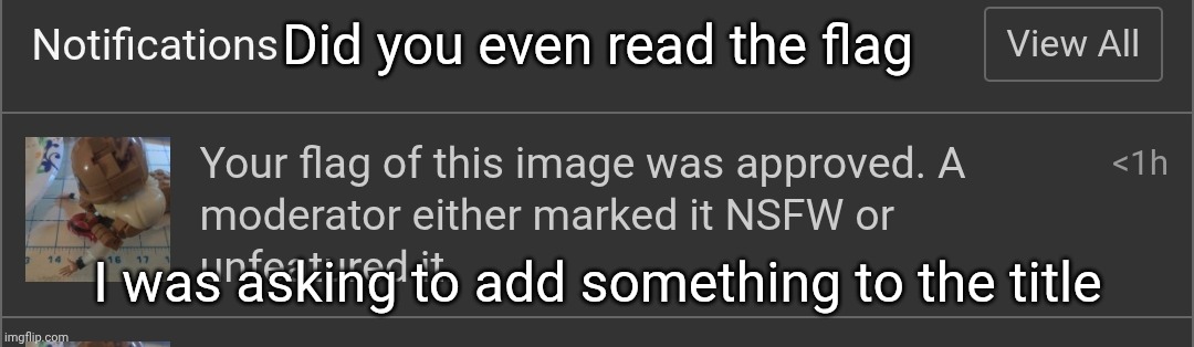 Did you even read the flag; I was asking to add something to the title | made w/ Imgflip meme maker