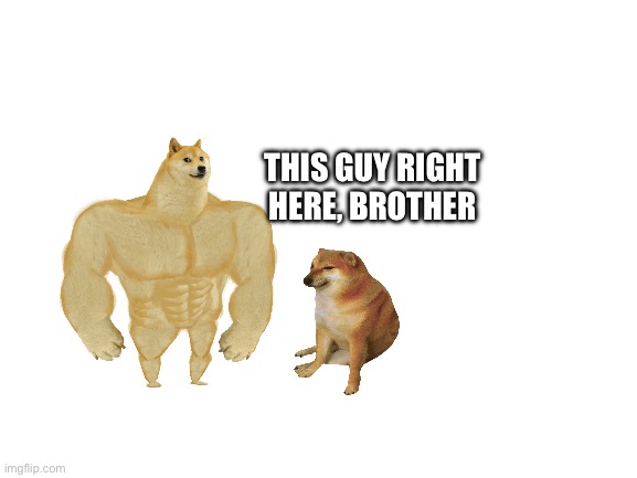 Blank White Template | THIS GUY RIGHT HERE, BROTHER | image tagged in blank white template | made w/ Imgflip meme maker
