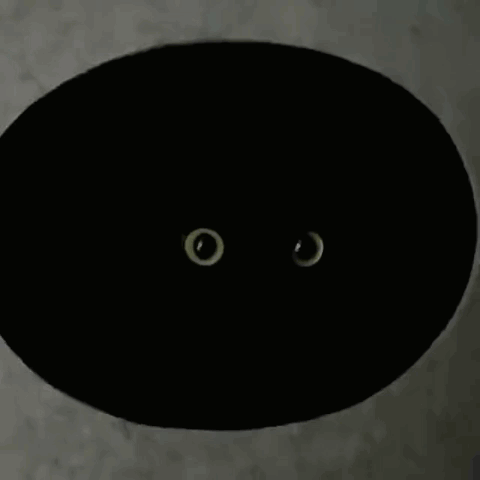 excuse me Blank Meme Template