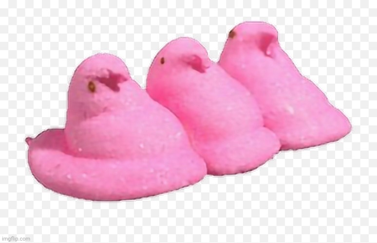 peep | image tagged in peep | made w/ Imgflip meme maker