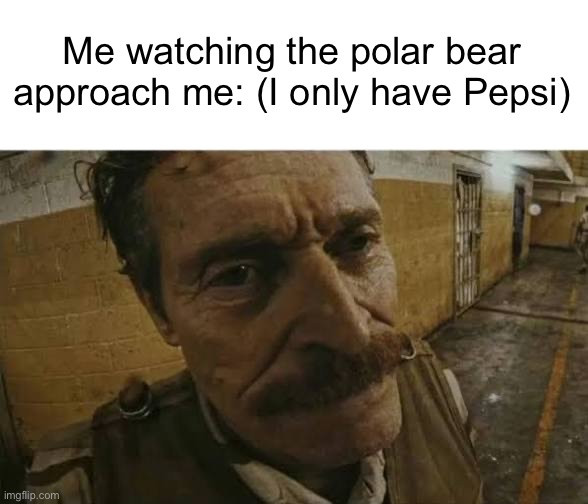 Me watching the polar bear approach me: (I only have Pepsi) | made w/ Imgflip meme maker