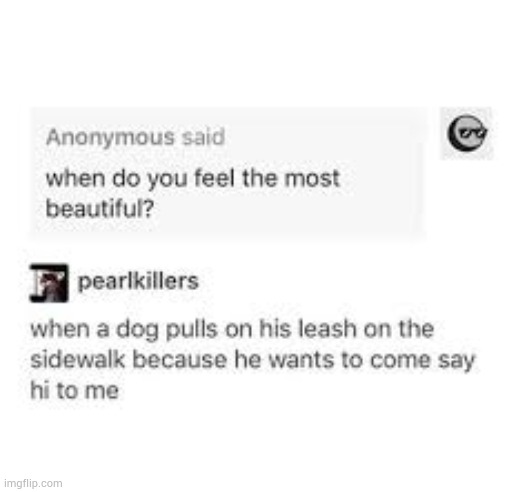 image tagged in tumblr | made w/ Imgflip meme maker