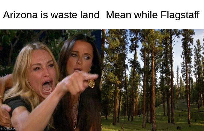 When people talk about Arizona | Arizona is waste land; Mean while Flagstaff | image tagged in memes,woman yelling at cat | made w/ Imgflip meme maker