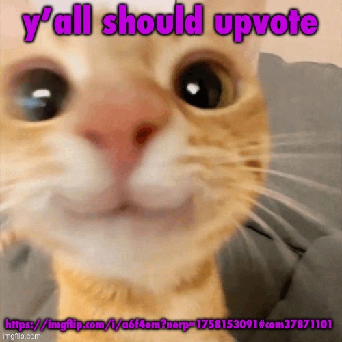 kitty | y’all should upvote; https://imgflip.com/i/a6f4em?nerp=1758153091#com37871101 | image tagged in kitty | made w/ Imgflip meme maker