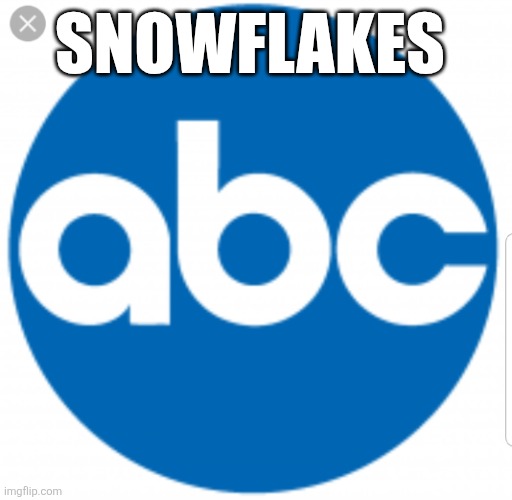 Abc | SNOWFLAKES | image tagged in abc,trump,biden,kamala harris,republican,democrats | made w/ Imgflip meme maker