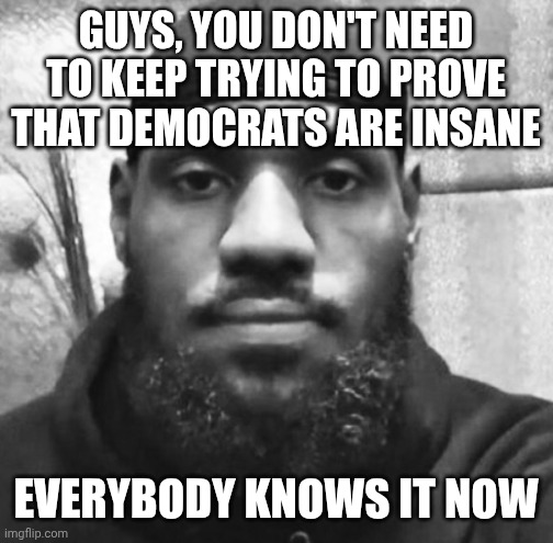 Unimpressed LeBron | GUYS, YOU DON'T NEED TO KEEP TRYING TO PROVE THAT DEMOCRATS ARE INSANE; EVERYBODY KNOWS IT NOW | image tagged in unimpressed lebron | made w/ Imgflip meme maker