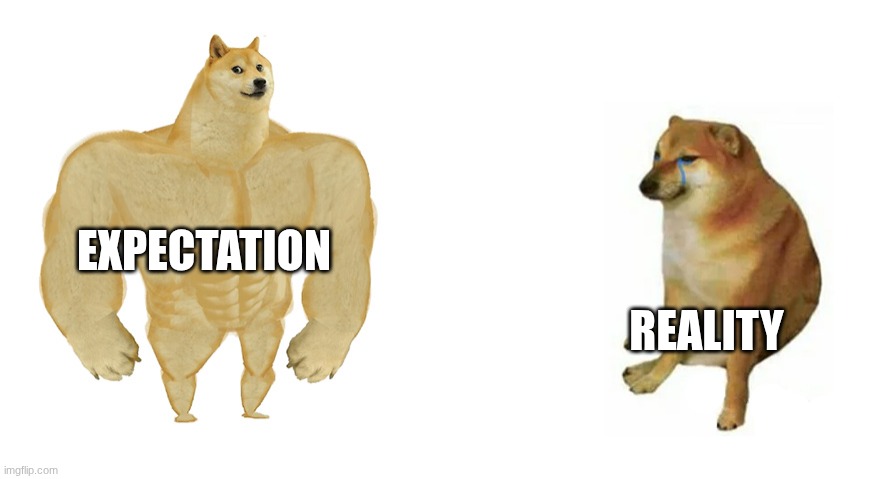 Buff Doge vs Crying Cheems | EXPECTATION; REALITY | image tagged in buff doge vs crying cheems | made w/ Imgflip meme maker
