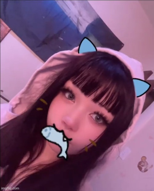 Hey chat | made w/ Imgflip meme maker