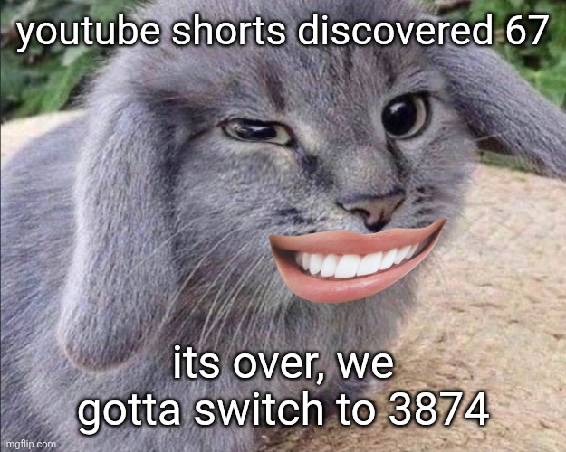 goofy ahh cabbit | youtube shorts discovered 67; its over, we gotta switch to 3874 | image tagged in goofy ahh cabbit | made w/ Imgflip meme maker