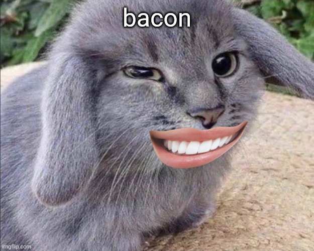goofy ahh cabbit | bacon | image tagged in goofy ahh cabbit | made w/ Imgflip meme maker