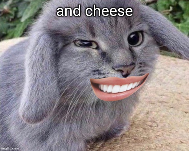 goofy ahh cabbit | and cheese | image tagged in goofy ahh cabbit | made w/ Imgflip meme maker