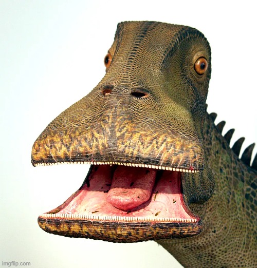 nigersaurus | image tagged in nigersaurus | made w/ Imgflip meme maker