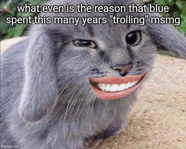 goofy ahh cabbit | what even is the reason that blue spent this many years "trolling" msmg | image tagged in goofy ahh cabbit | made w/ Imgflip meme maker