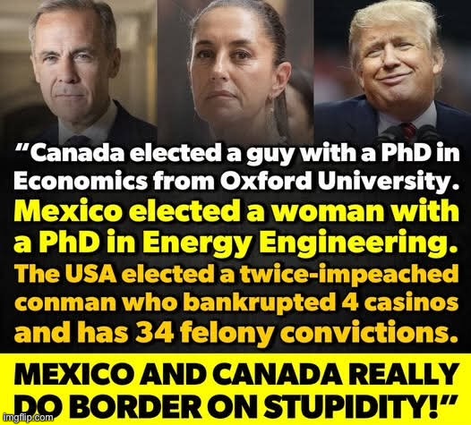 Bordering on stupidity | image tagged in stupid trump | made w/ Imgflip meme maker