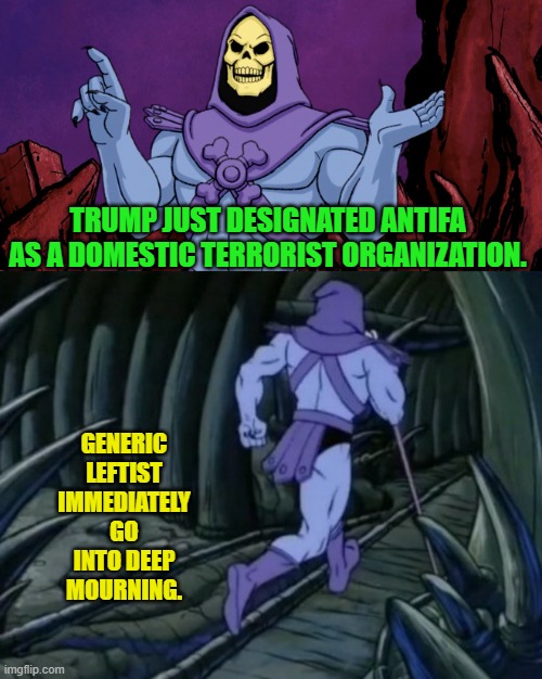 It's been a baaaaaaaaad couple of weeks for the nation's leftists. | TRUMP JUST DESIGNATED ANTIFA AS A DOMESTIC TERRORIST ORGANIZATION. GENERIC LEFTIST IMMEDIATELY GO INTO DEEP MOURNING. | image tagged in skeletor until we meet again | made w/ Imgflip meme maker