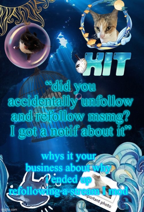silly announcement template by asriel | “did you accidentally unfollow and refollow msmg? I got a notif about it”; whys it your business about why i ended up refollowing a stream I mod | image tagged in silly announcement template by asriel | made w/ Imgflip meme maker