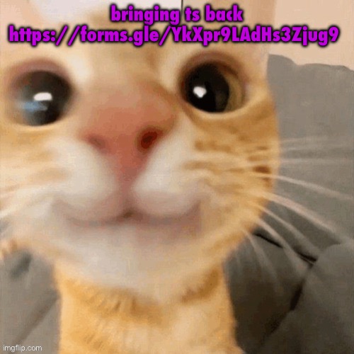 make it interesting | bringing ts back https://forms.gle/YkXpr9LAdHs3Zjug9 | image tagged in kitty | made w/ Imgflip meme maker