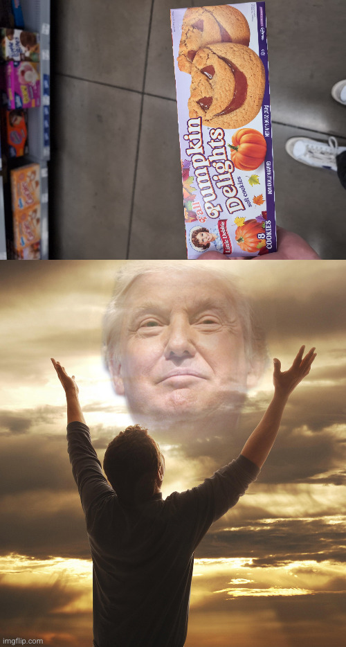 YAH HAH HA | image tagged in praising trump as god jesus republican jpp | made w/ Imgflip meme maker