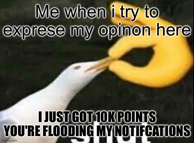 OH MY GOD SHUT UP | Me when i try to exprese my opinon here; I JUST GOT 10K POINTS YOU'RE FLOODING MY NOTIFCATIONS | image tagged in shut | made w/ Imgflip meme maker