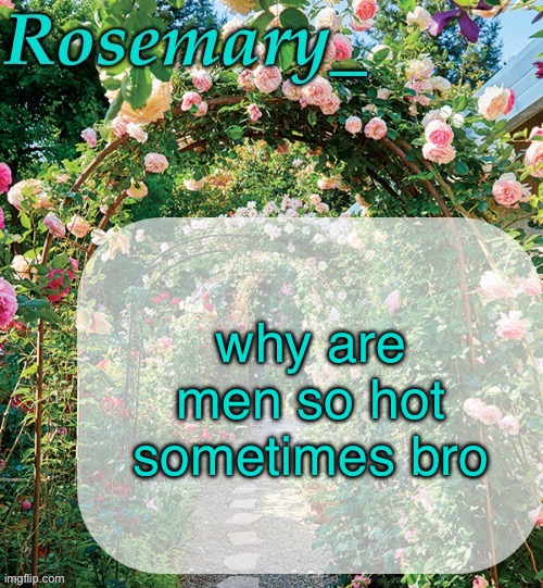 Rosemary_ template | why are men so hot sometimes bro | image tagged in rosemary_ template | made w/ Imgflip meme maker