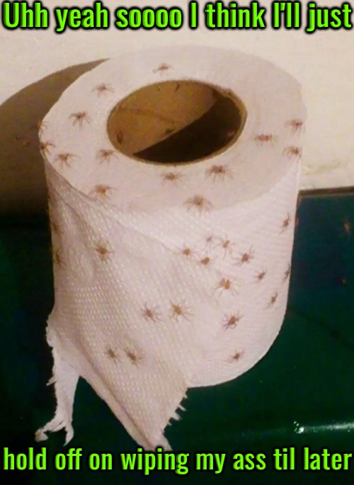 No Thanks I'll Pass | Uhh yeah soooo I think I'll just; hold off on wiping my ass til later | image tagged in no thanks,spiders,arachnophobia,toilet paper,hilarious memes,oh hell no | made w/ Imgflip meme maker