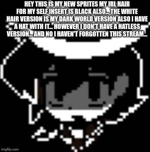 HEY THIS IS MY NEW SPRITES MY IRL HAIR FOR MY SELF INSERT IS BLACK ALSO... THE WHITE HAIR VERSION IS MY DARK WORLD VERSION ALSO I HAVE A HAT WITH IT... HOWEVER I DON'T HAVE A HATLESS VERSION... AND NO I HAVEN'T FORGOTTEN THIS STREAM... | made w/ Imgflip meme maker