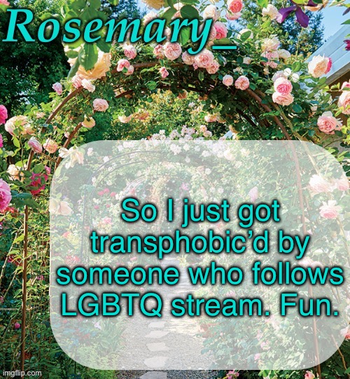 Rosemary_ template | So I just got transphobic’d by someone who follows LGBTQ stream. Fun. | image tagged in rosemary_ template | made w/ Imgflip meme maker
