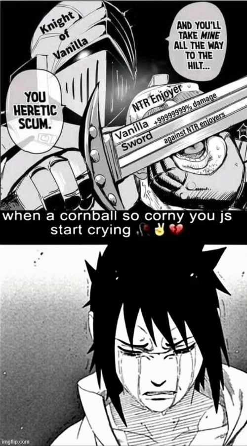 theres no way a real person made this reddit shit | image tagged in when a cornball so corny you js start crying | made w/ Imgflip meme maker