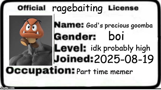 Just got ma ragebaiting license | ragebaiting; God's precious goomba; boi; idk probably high; 2025-08-19; Part time memer | image tagged in official x license,funny,memes,ragebaiting license | made w/ Imgflip meme maker
