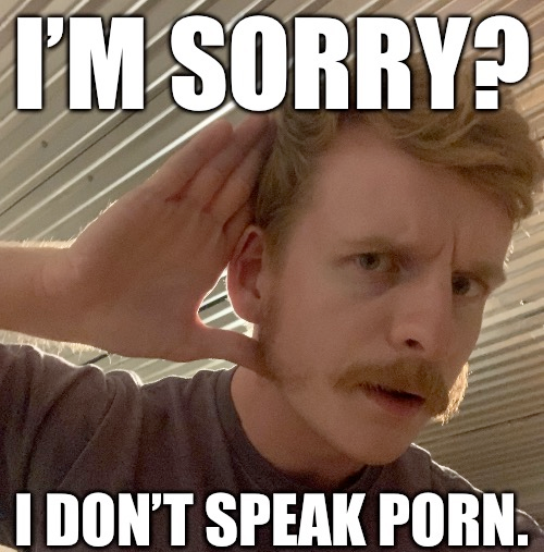 TheHugePig I'm sorry? I don't speak porn Blank Meme Template