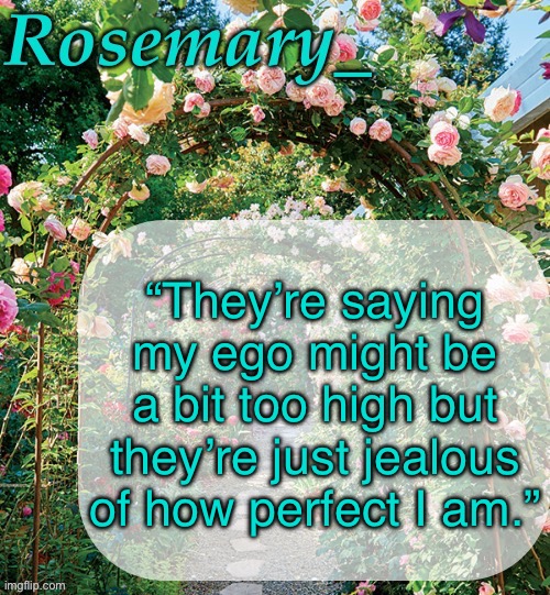 Gn | “They’re saying my ego might be a bit too high but they’re just jealous of how perfect I am.” | image tagged in rosemary_ template | made w/ Imgflip meme maker
