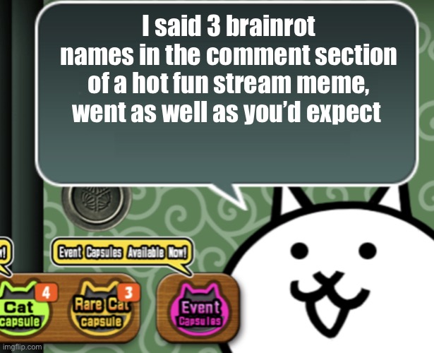 The basic cat says something | I said 3 brainrot names in the comment section of a hot fun stream meme, went as well as you’d expect | image tagged in the basic cat says something | made w/ Imgflip meme maker