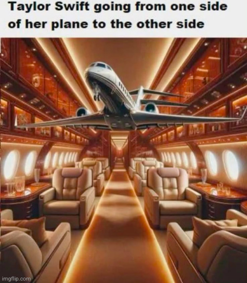 Taylor swift | image tagged in taylor swiftie,plane,so true,funny | made w/ Imgflip meme maker