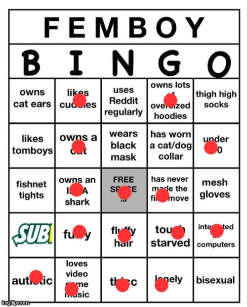 Femboy Bingo | image tagged in femboy bingo | made w/ Imgflip meme maker